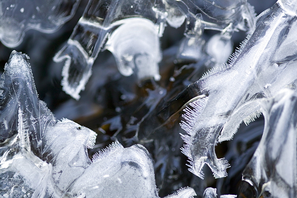 Fost patterns on a partially frozen stream, England, United Kingdom, Europe