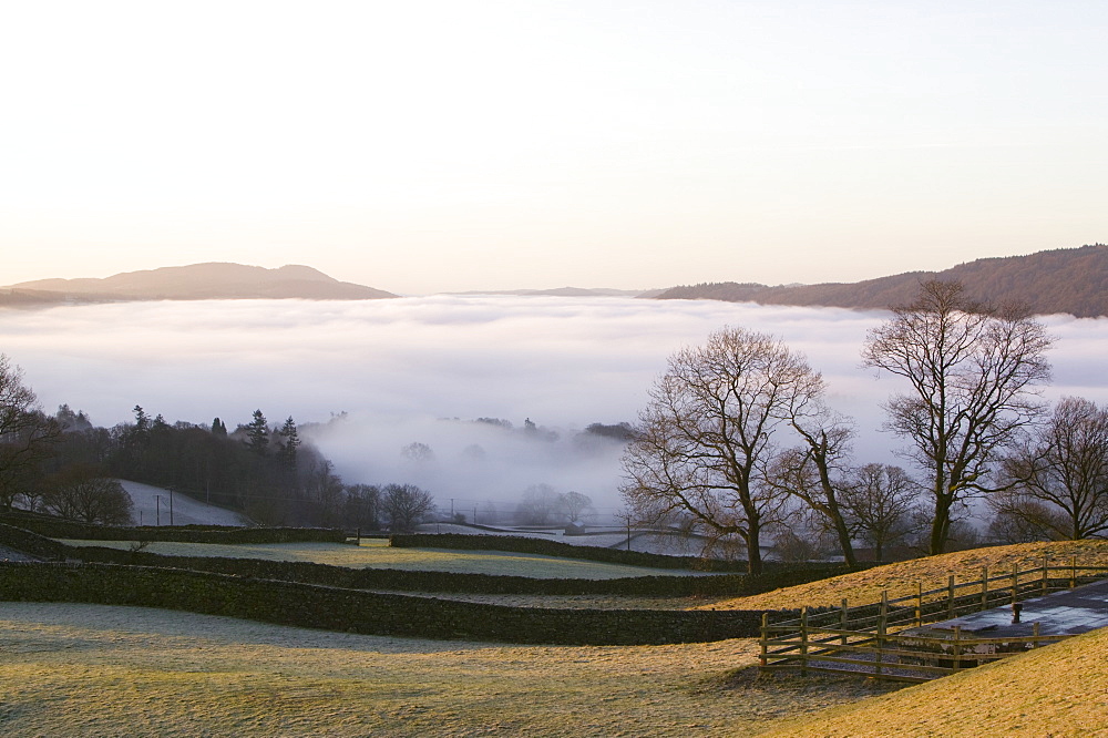 Valley mist over Windermere at dawn in the Lake District National Park, Cumbria, England, United Kingdom, Europe