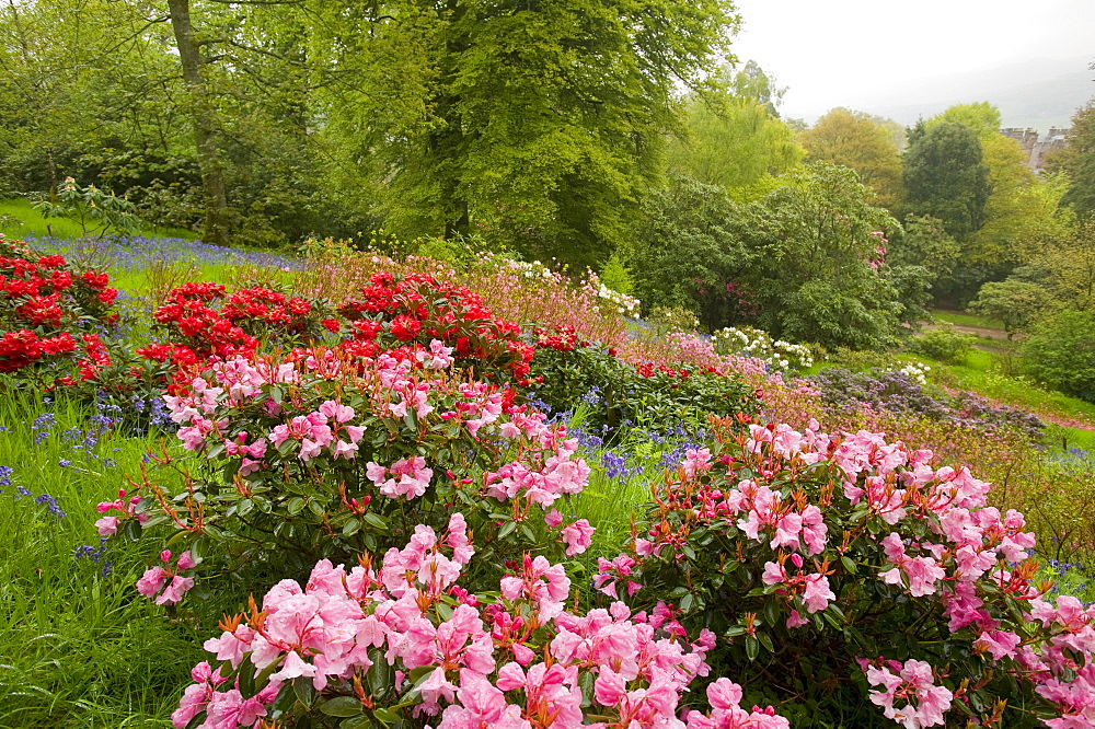 Muncaster Castle gardens, Cumbria, England, United Kingdom, Europe