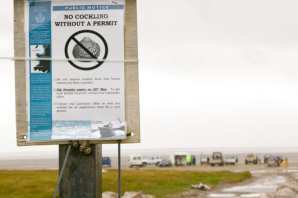 A cockling sign at Hest Bank on Morecambe Bay, Lancashire, England, United Kingdom, Europe