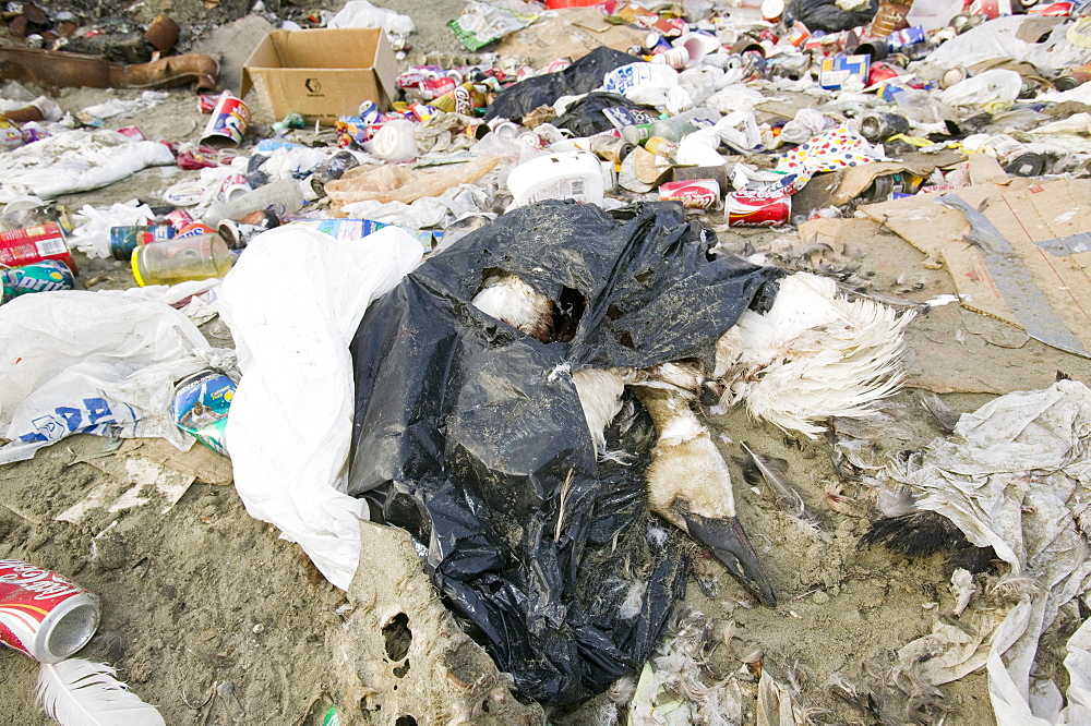 The dump on Shishmaref, a tiny island inhabited by around 600 Inuits, between Alaska and Siberia in the Chukchi Sea, United States of America, North America