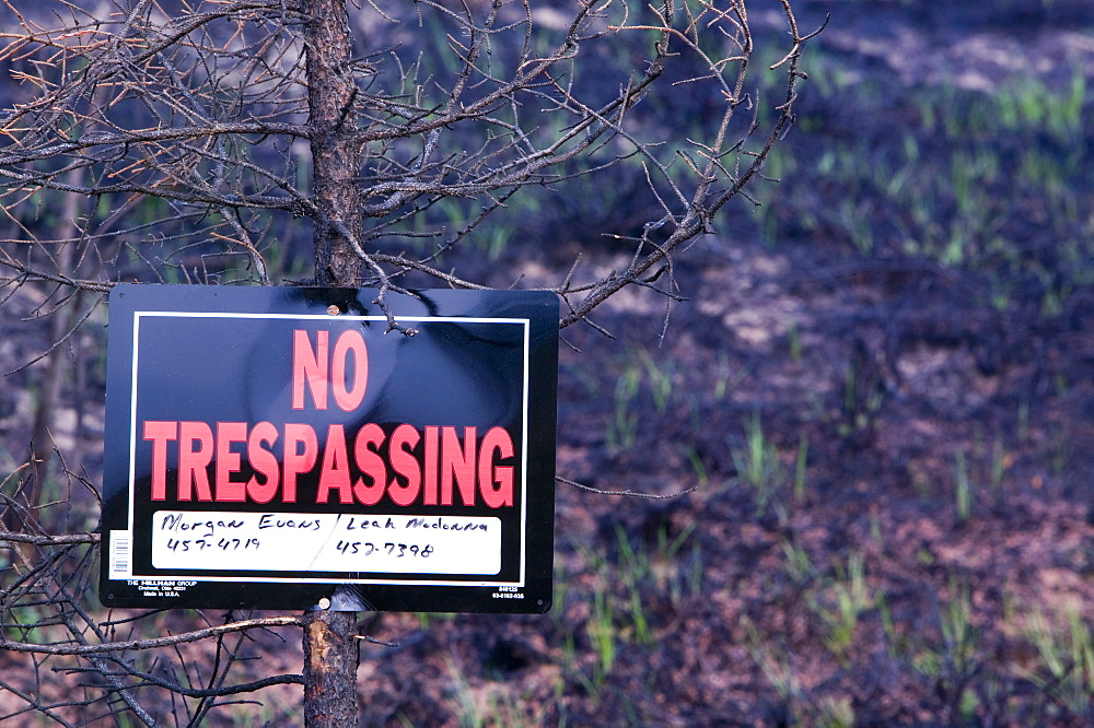 No Trespassing sign in forest after unprecedented fires in 2004, near Fairbanks, Alaska, United States of America, North America