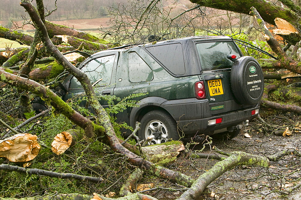 Car beneath fallen branches in January 2005 after a severe storm hit Cumbria, England, United Kingdom, Europe