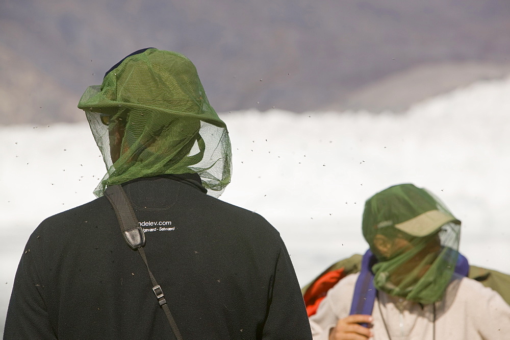 Tourists being attacked by mosquitos in Camp Victor on Greenland, Polar Regions