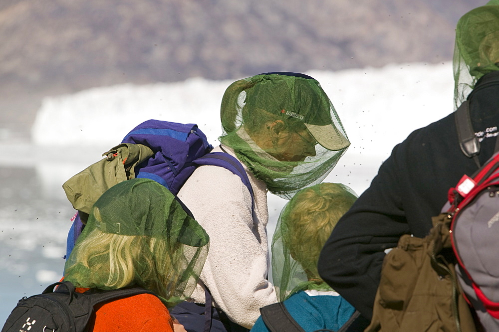 Tourists being attacked by mosquitos in Camp Victor on Greenland, Polar Regions