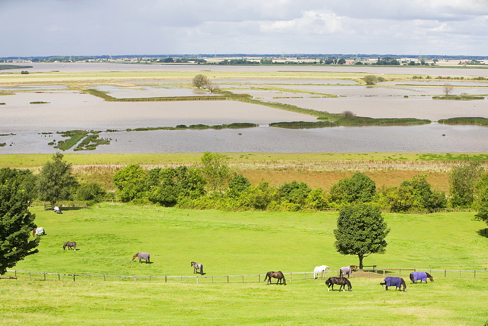 The Breach at Alkborough created in the sea defences to allow sea water to flood agricultural land and create a wetland for wildlife, Humber Estuary, Humberside, England, United Kingdom, Europe