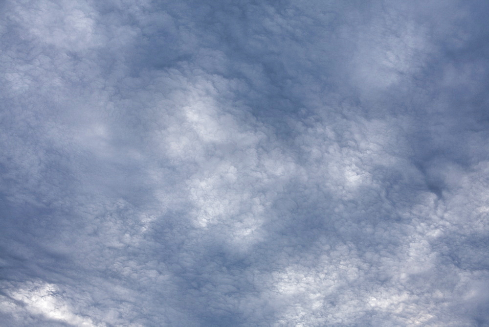 Clouds on an occluded front