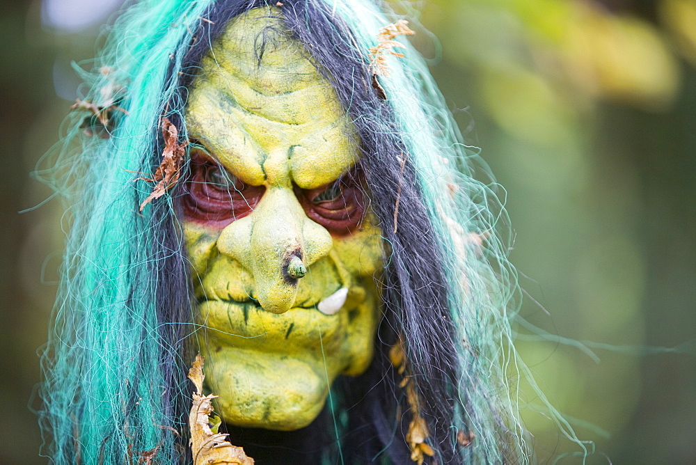 The Halloween trail at Thorp Perrow Arboretum in Yorkshire, England, United Kingdom, Europe