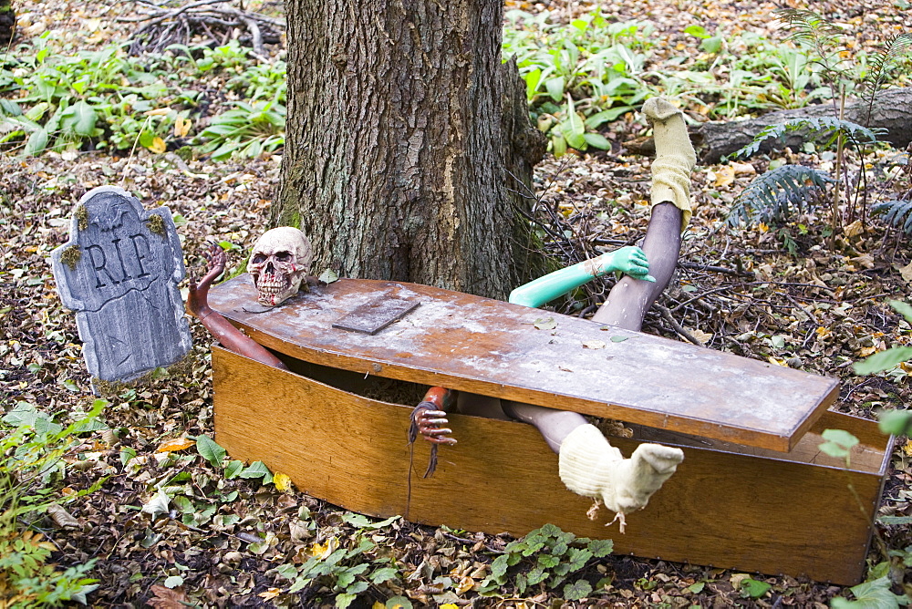 The Halloween trail at Thorp Perrow Arboretum in Yorkshire, England, United Kingdom, Europe