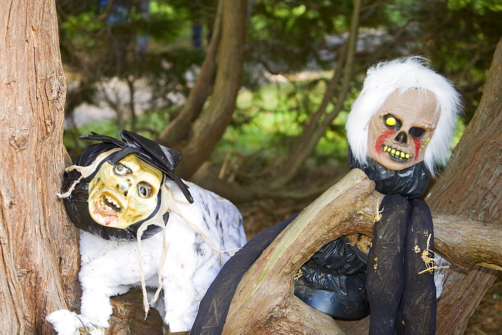 The Halloween trail at Thorp Perrow Arboretum in Yorkshire, England, United Kingdom, Europe