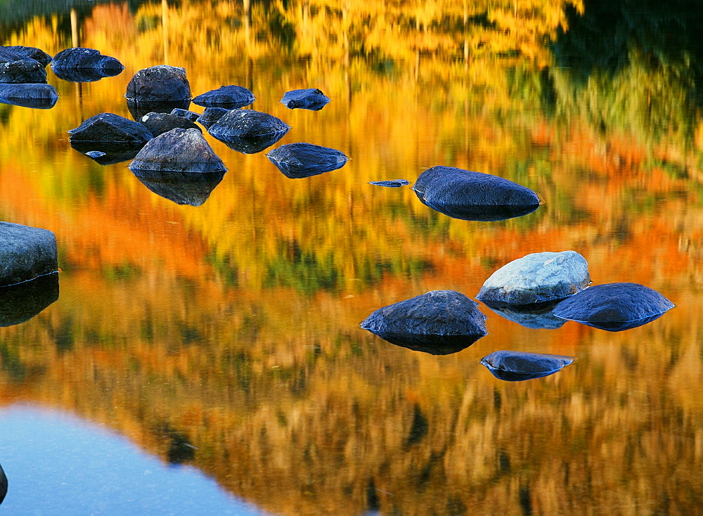 Reflections in Blea Tarn in the Lake District National Park, Cumbria, England, United Kingdom, Europe