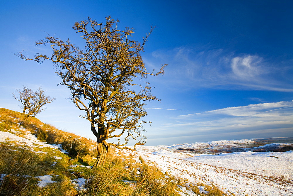 On the fells above Kentmere in the Lake District National Park, Cumbria, England, United Kingdom, Europe