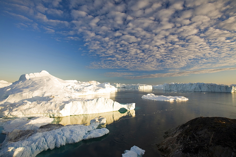 Icebergs from the Jacobshavn Glacier (Sermeq Kujalleq), Greenland, Polar Regions