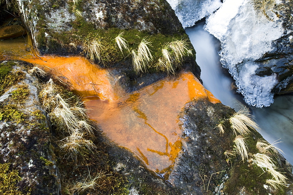 Ice on Greenburn Beck in the Lake District during a cold snap, with orange iron-rich bacteria, Cumbria, England, United Kingdom, Europe