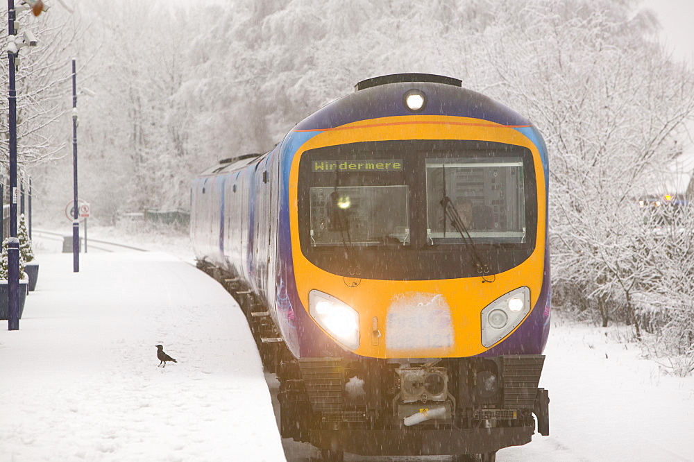 Snow at Windermere Train Station, Cumbria, England, United Kingdom, Europe