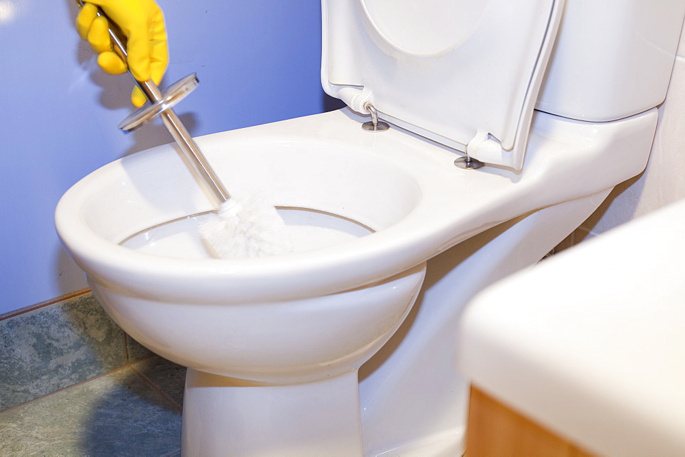 Cleaning a household domestic toilet with a toilet cleaning brush