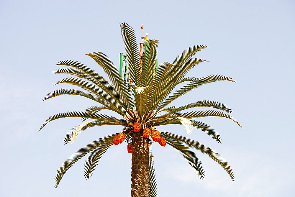 A mobile phone mast made to look like a palm tree in Dubai, United Arab Emirates, Middle East