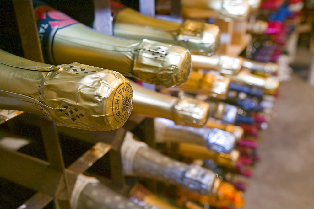 Champagne bottles in Storrs Hall Hotel wine cellar in Windermere, Cumbria, England, United Kingdom, Europe