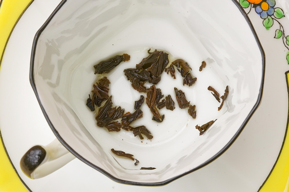 Tea leaves in a china cup