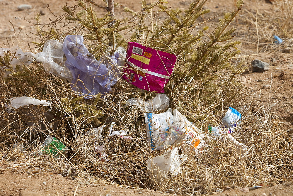 Plastic rubbish blows across the desert landscape of Inner Mongolia, China, Asia