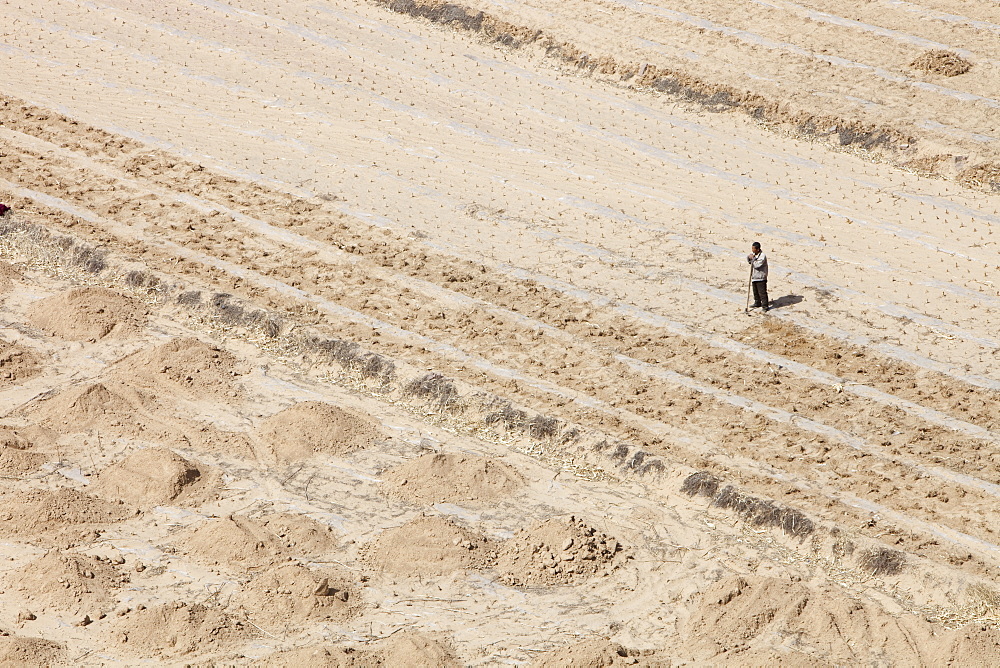 Man working in fields of dried dusty earth in Shanxi province, Northern China, Asia