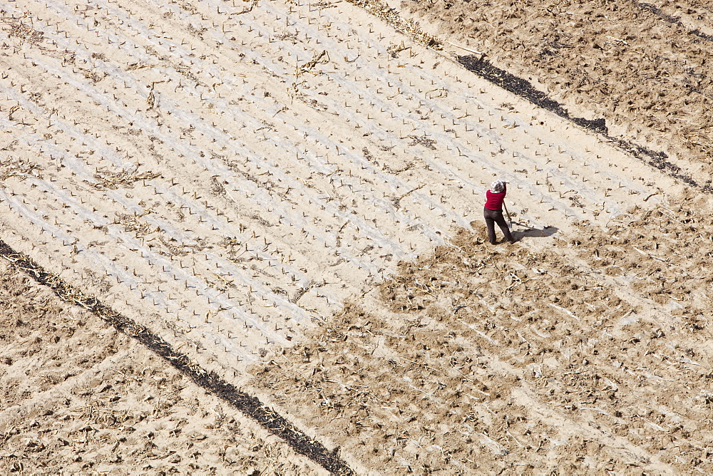 Man working in fields of dried dusty earth in Shanxi province, Northern China, Asia