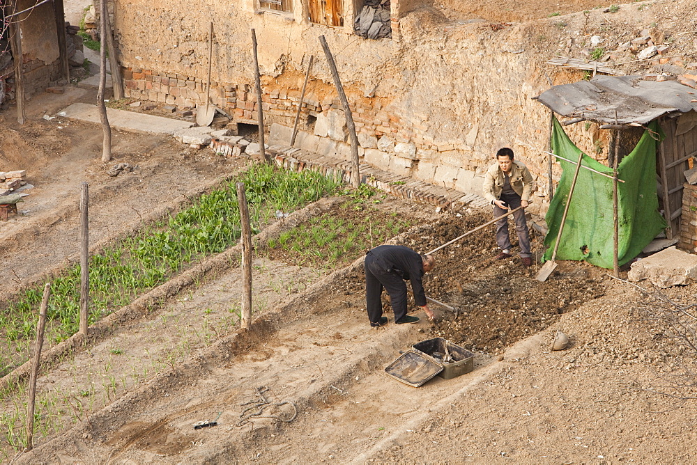 Chinese workers preparing their garden plot for food production near Tongshuan, Shanxi, Northern China, Asia