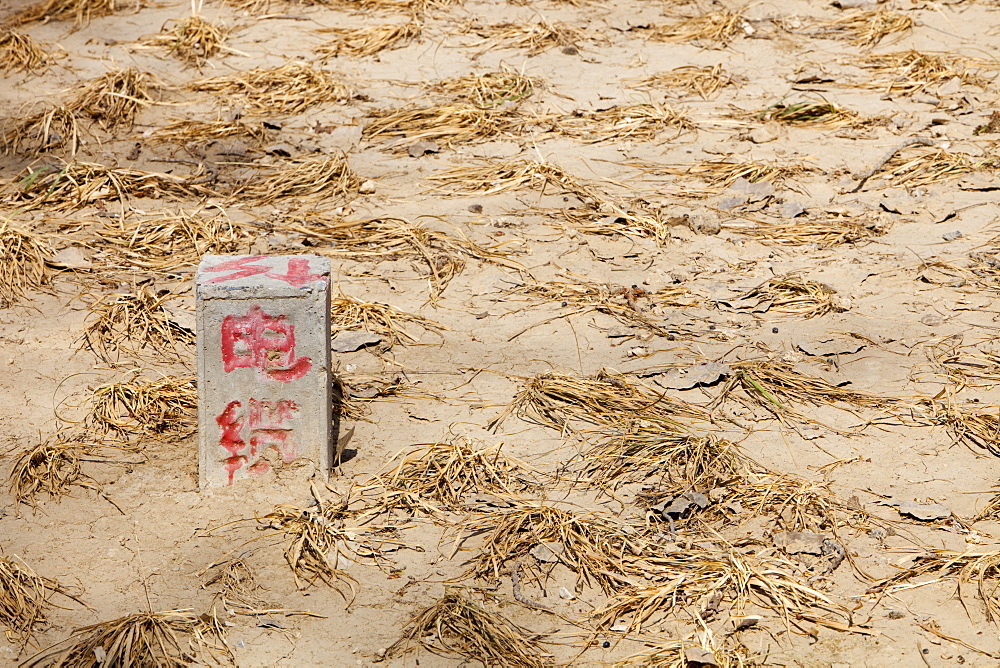 Withered crops dry up and die near Beijing, China, Asia