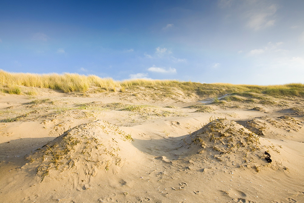 Ice and frost on the beach and sand dunes at Sandscale Haws near Barrow in Furness, Cumbria, England, United Kingdom, Europe