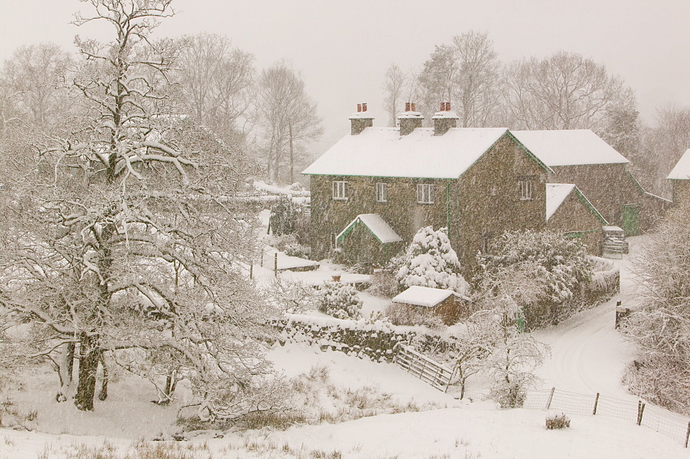 Heavy snow near Ambleside, Lake District, Cumbria, England, United Kingdom, Europe