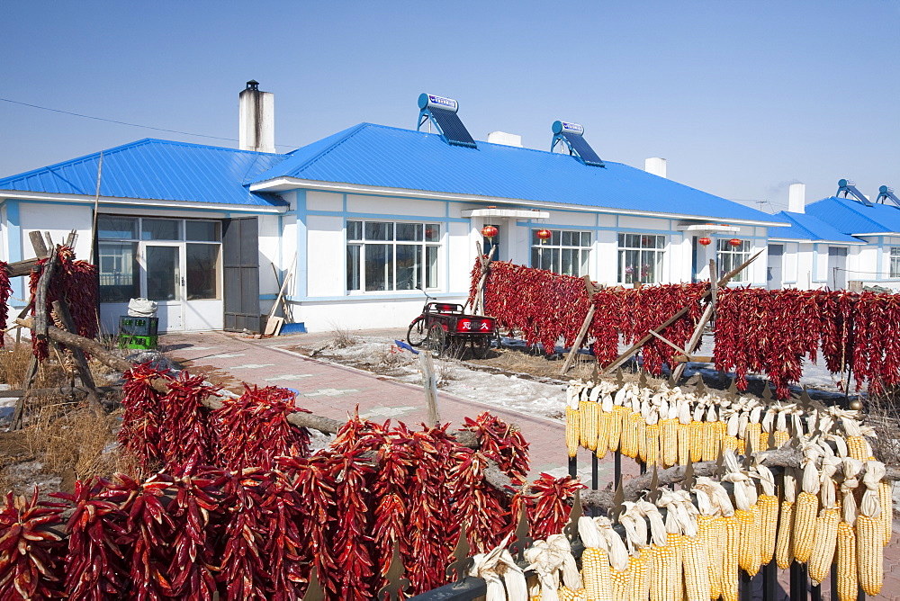 Modern farmers houses built by the local communist party on the outskirts of Suihua city in northern China, Asia