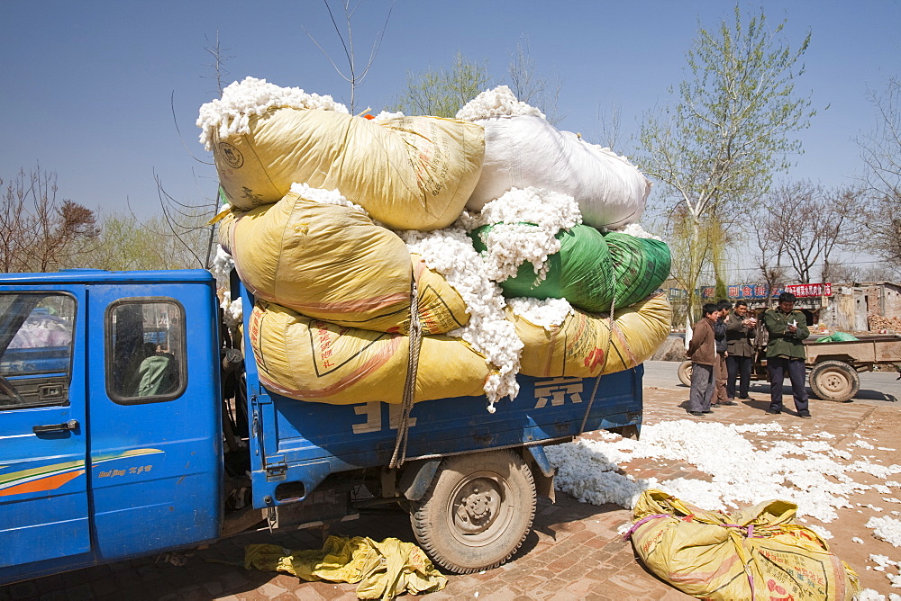 Cotton bundles, Northern China, China, Asia