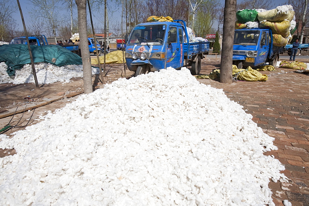 Cotton bundles, Northern China, China, Asia