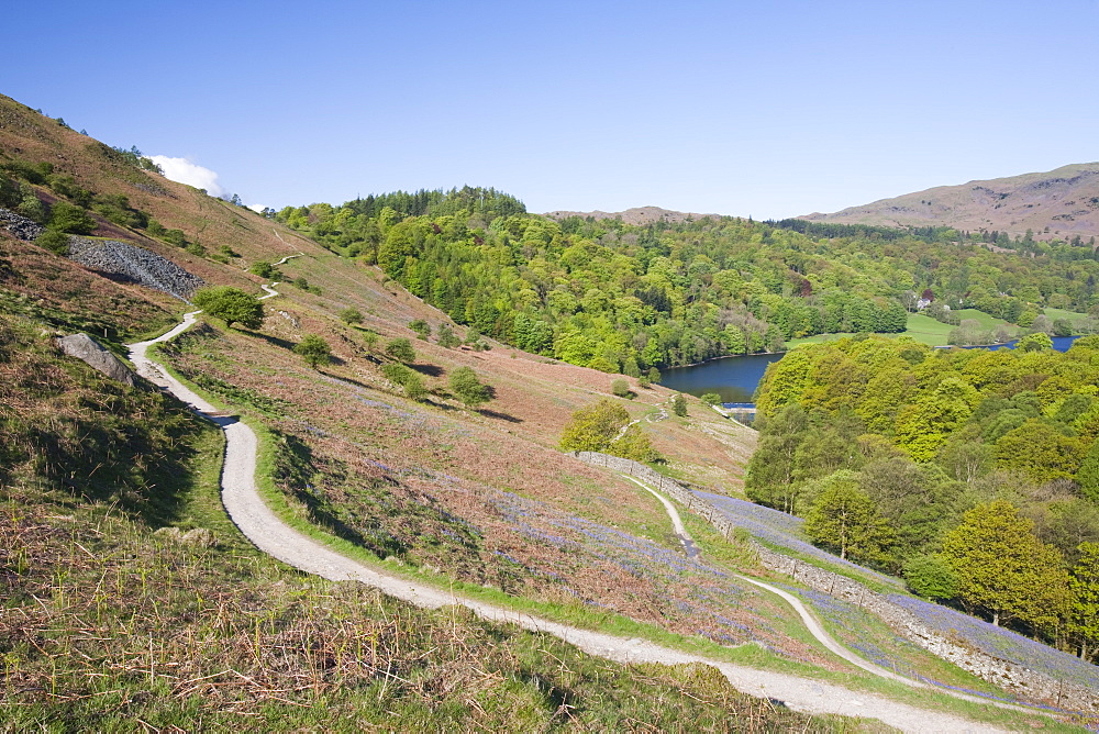 Paths along Loughrigg Terrace above Grasmere in the Lake District National Park,Cumbria, England, United Kingdom, Europe