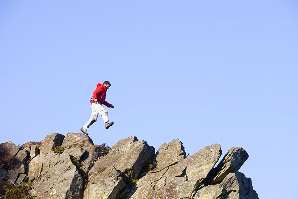 A climber jumping on a ridge above Chapel Stile in the Langdale Valley in the Lake District, Cumbria, England, United Kingdom, Europe