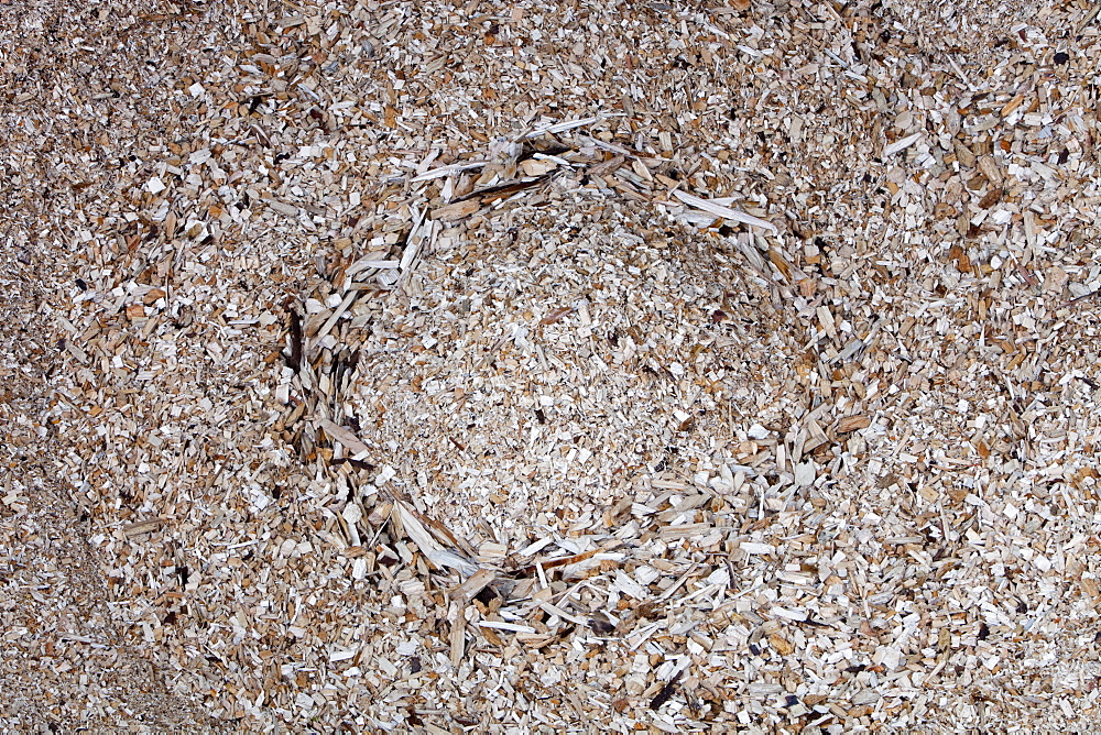 The woodchip hopper for a biofuel boiler in the grounds of the Langdale Timeshare in the Lake District, Cumbria, England, United Kingdom, Europe