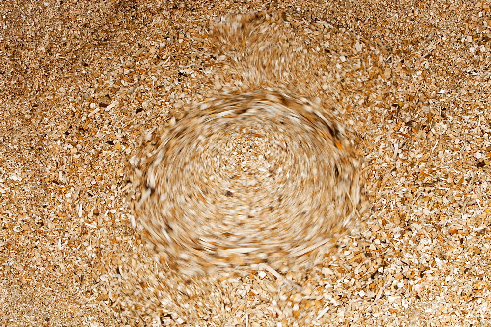 The woodchip hopper for a biofuel boiler in the grounds of the Langdale Timeshare in the Lake District, Cumbria, England, United Kingdom, Europe