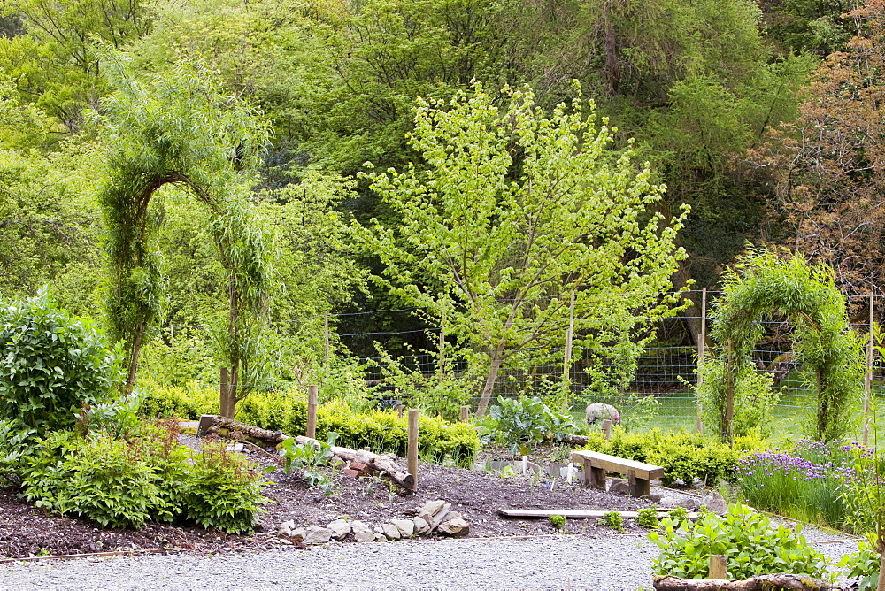 Rydal Community Vegetable Garden in the grounds of Rydal Hall near Ambleside, Lake District, Cumbria, England, United Kingdom, Europe