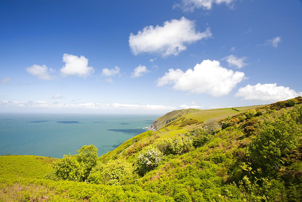 The North Devon coastline near Combe Martin, England, United Kingdom, Europe