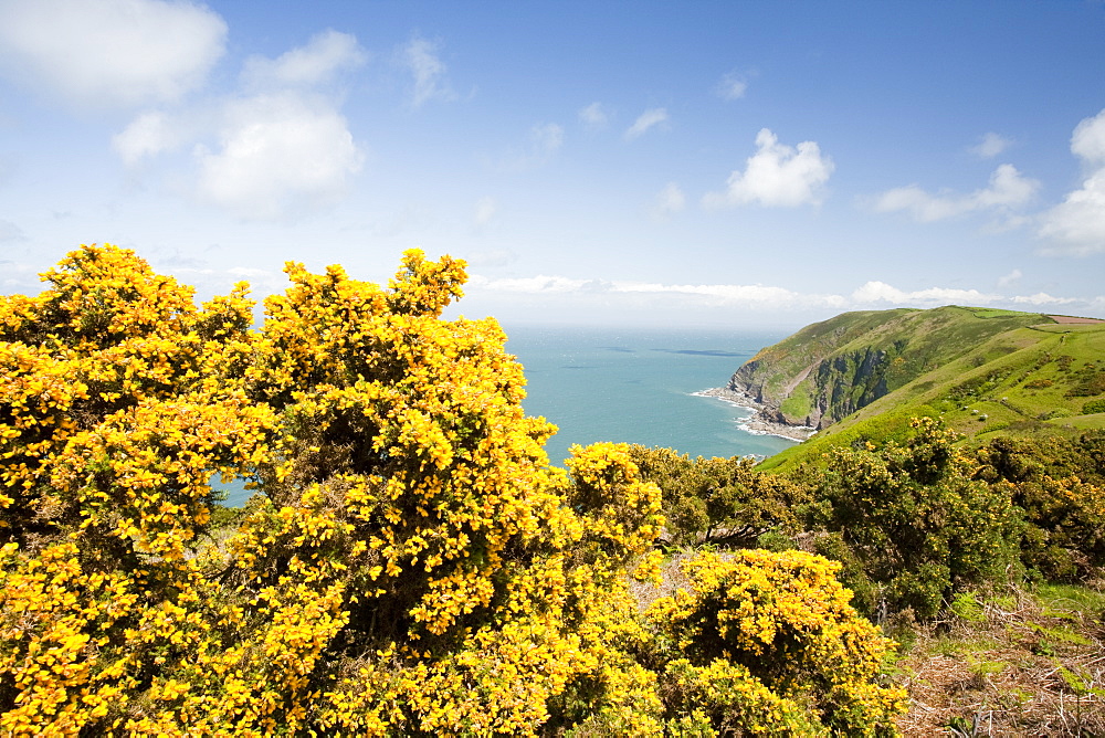 The North Devon coastline near Combe Martin, England, United Kingdom, Europe