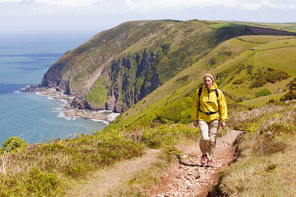 A woman on the South West coast Path near Combe Martin in Devon, England, United Kingdom, Europe