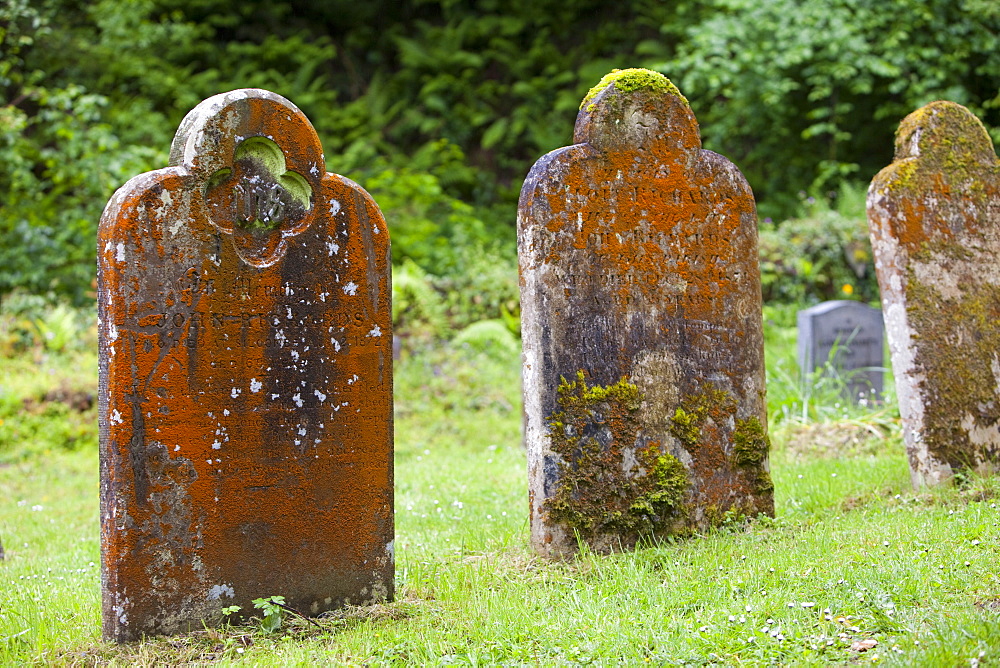 Gravestones in Culbone churchyard, said to be the smallest church in England, near Porlock Weir on the north Somerset coast,, England, United Kingdom, Europe