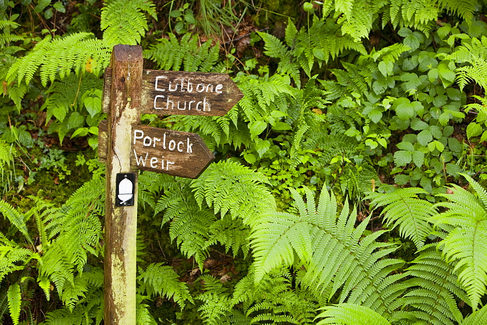 A sign on the South West Coast path in woodland near Porlock in north Devon, England, United Kingdom, Europe