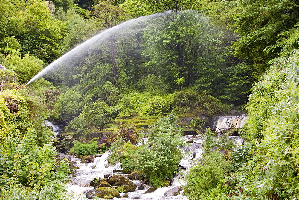 Water spouts below the largest privately owned HEP scheme in England and Wales, Glen Lyn Gorge in Devon, England, United Kingdom, Europe