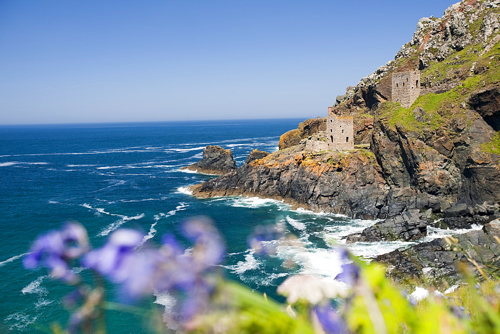 The famous Crown tin mine at Bottallack on the North Cornish coast, now abandoned but its old shafts extend way out below the sea, Cornwall, England, United Kingdom, Europe