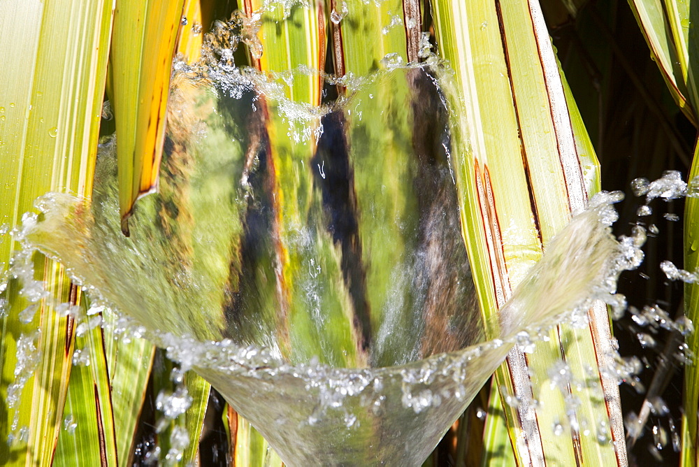 A water feature in a garden in Devon, England, United Kingdom, Europe