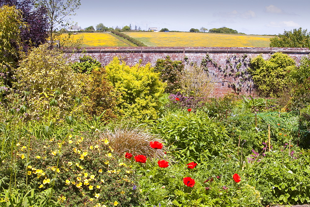 Winsford walled garden, a restored Victorian garden in Devon, England, United Kingdom, Europe