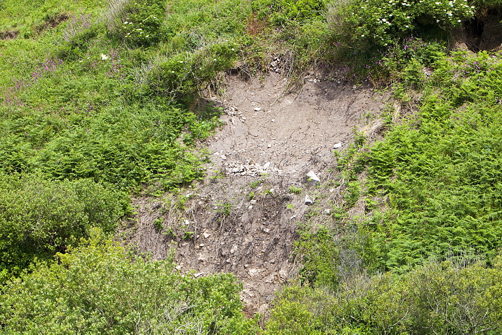 Landslides caused by flash floods near Zennor in Cornwall, England, United Kingdom, Europe