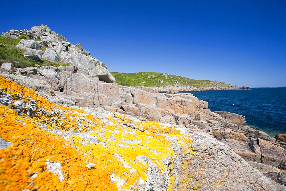 Cornish coastal scenery near Lamorna Cove, Cornwall, England, United Kingdom, Europe