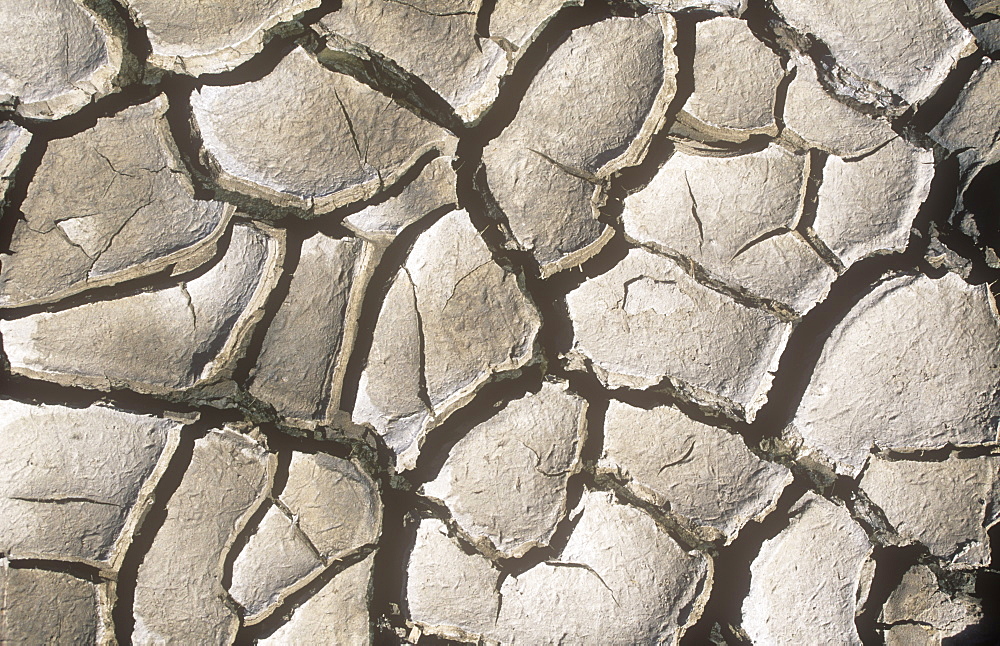 Mud cracks on a reservoir shore during a summer drought